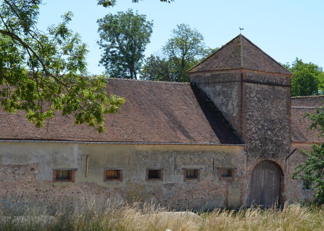 Papote Pâtes - Sezanne ferme