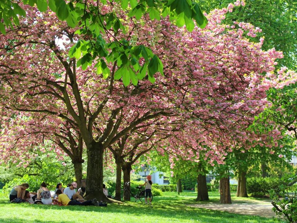 Parc SaintRemi REIMS Parc et jardin