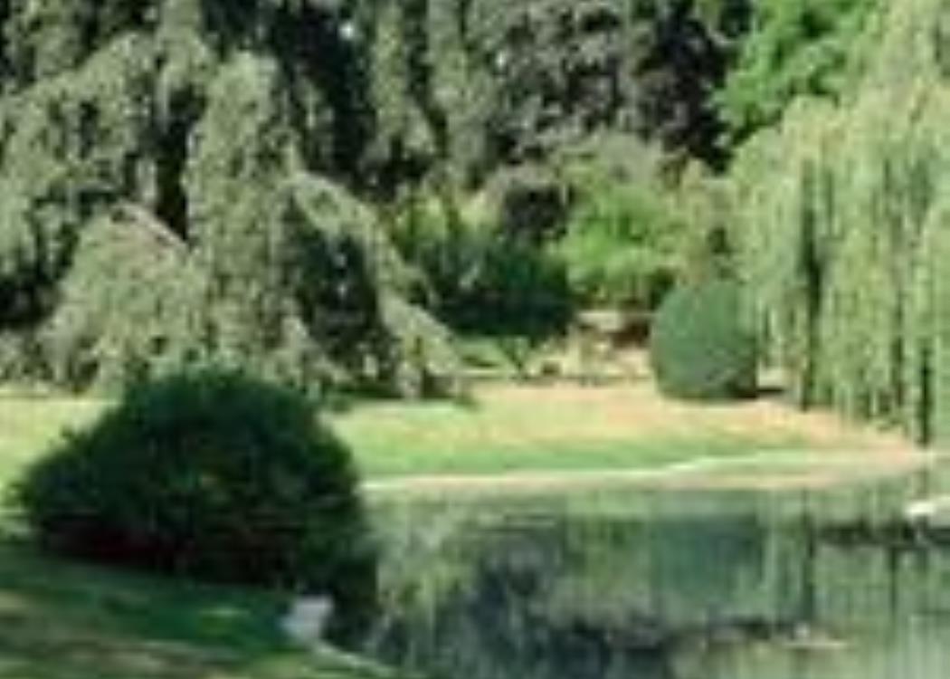 Parc de l'Horticulture - Epernay