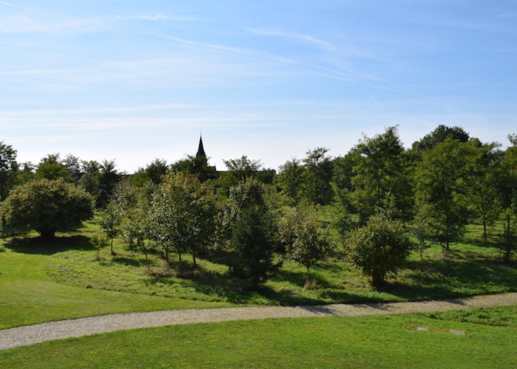 Parc du Chateau de Bignicourt sur Saulx©Fabrice Provin