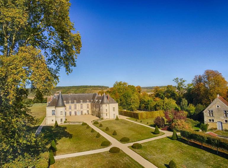 Parc et alignement remarquable de platanes du Château de Condé