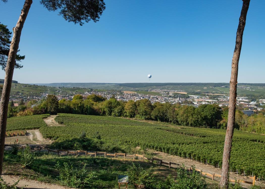 Parc du Mont Bernon 2 