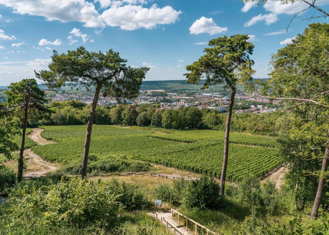 Parc du Mont Bernon 4 