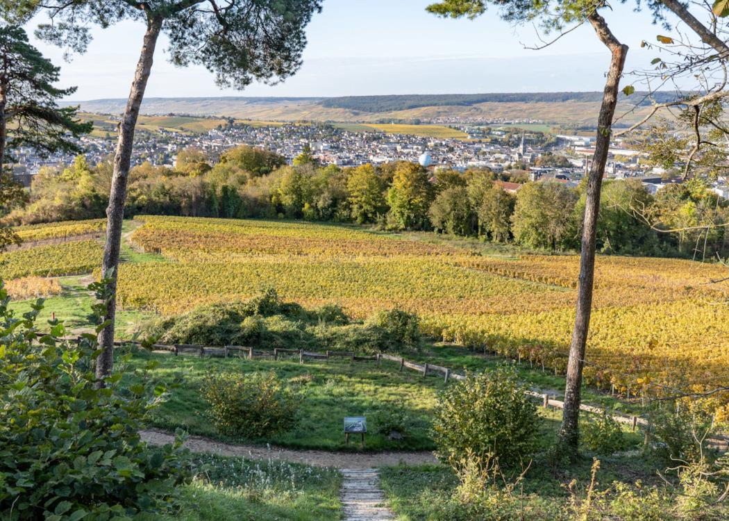 Parc du Mont Bernon 5 