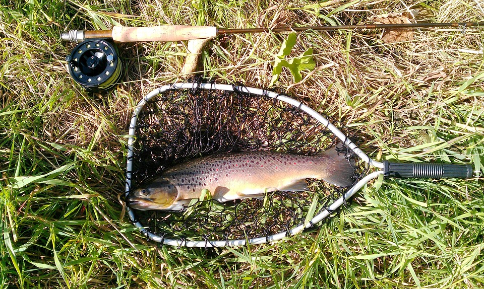 Pêche truite