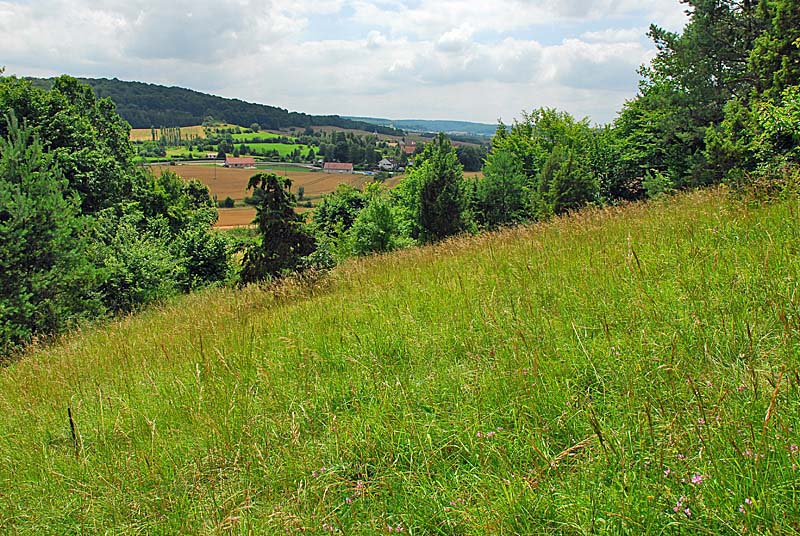 Marais et pelouses de la Côte aux Cannes