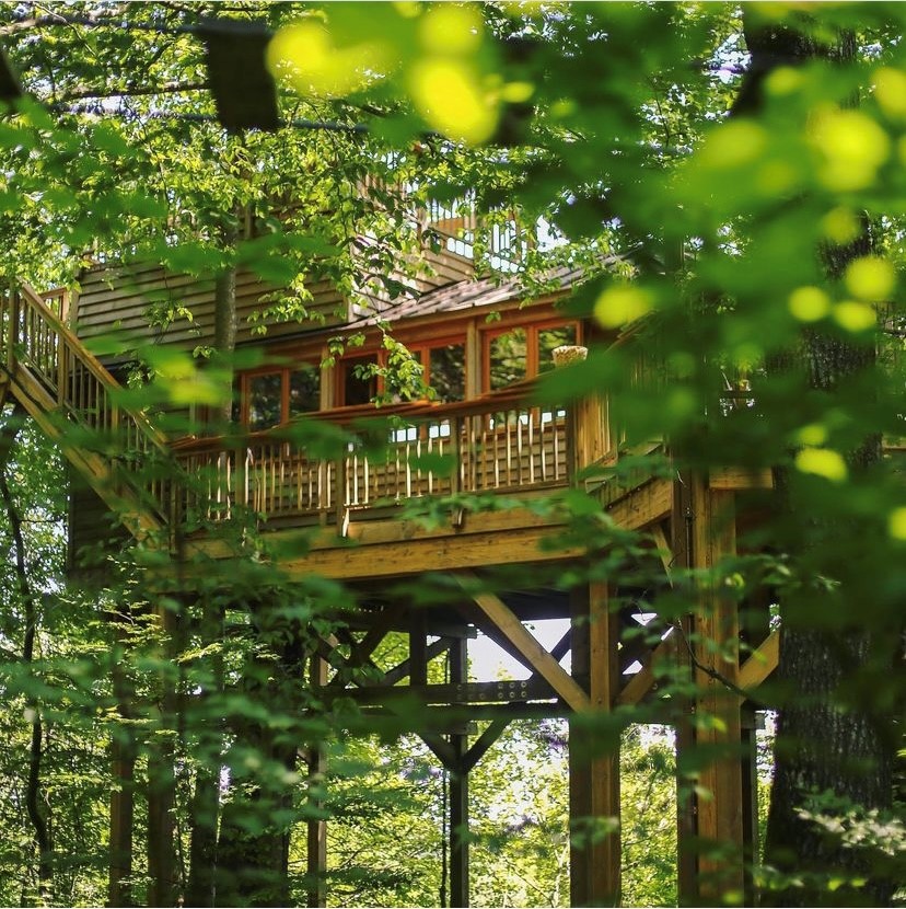 Perching Adventure