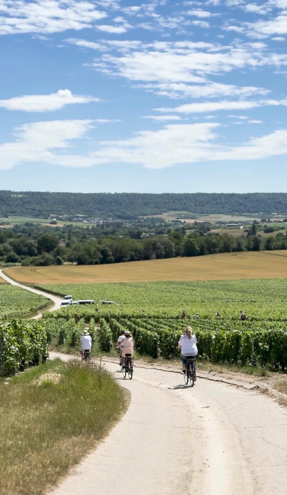 Photo de Balade à Vélos - Champagne Méteyer