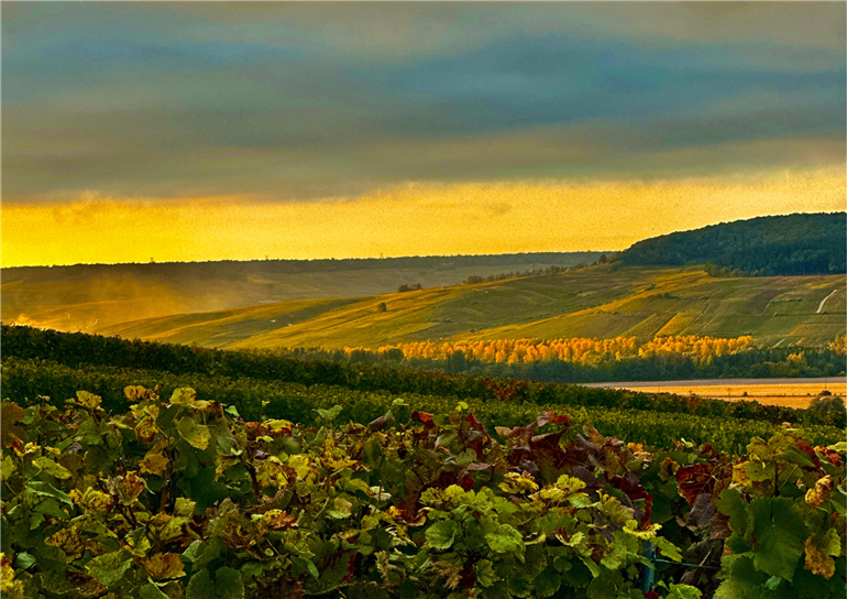 Photo paysage - 15