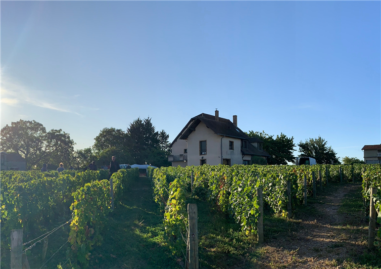 Photo paysage - 11