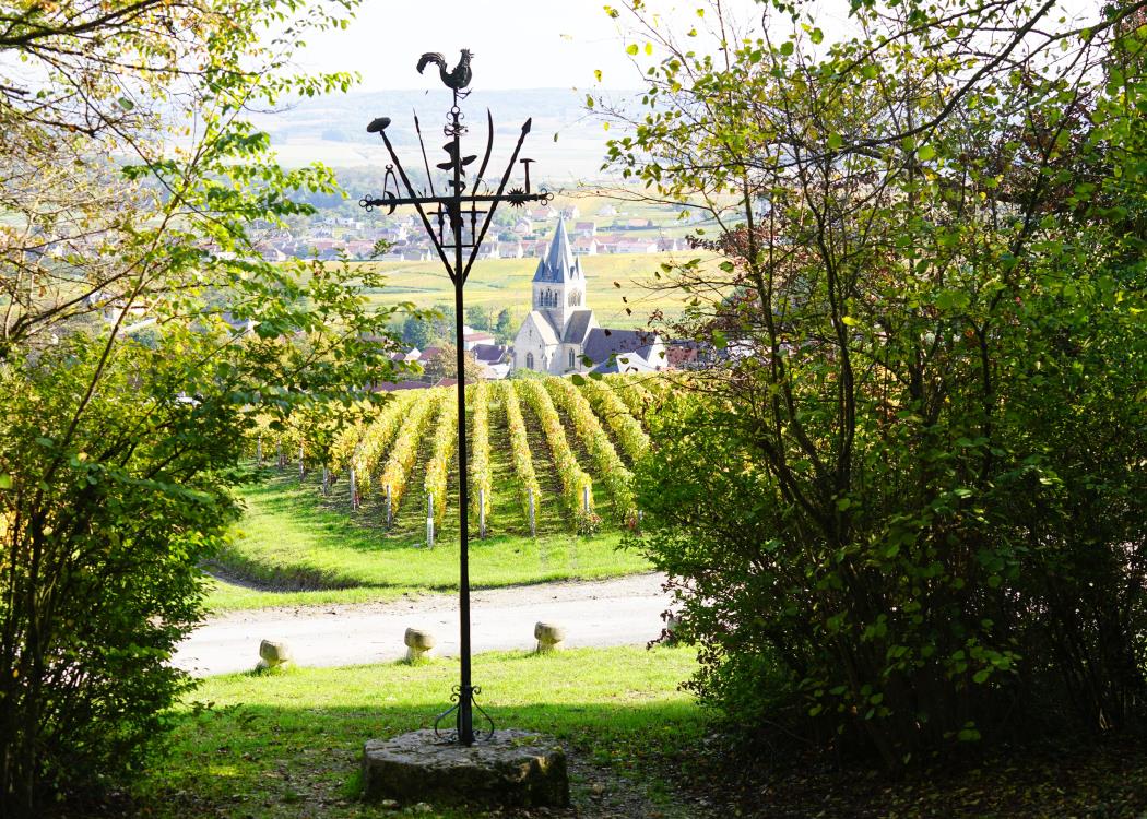 Point de vue Chapelle Saint-Lié©Ville de Reims-min Point de vue Chapelle Saint-Lié©Ville de Reims-min