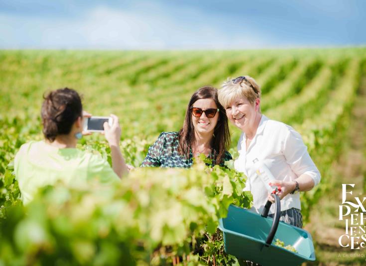 Produit vendanges (c) Cyrille Beudot - Office de Tourisme du Grand Reims (14)