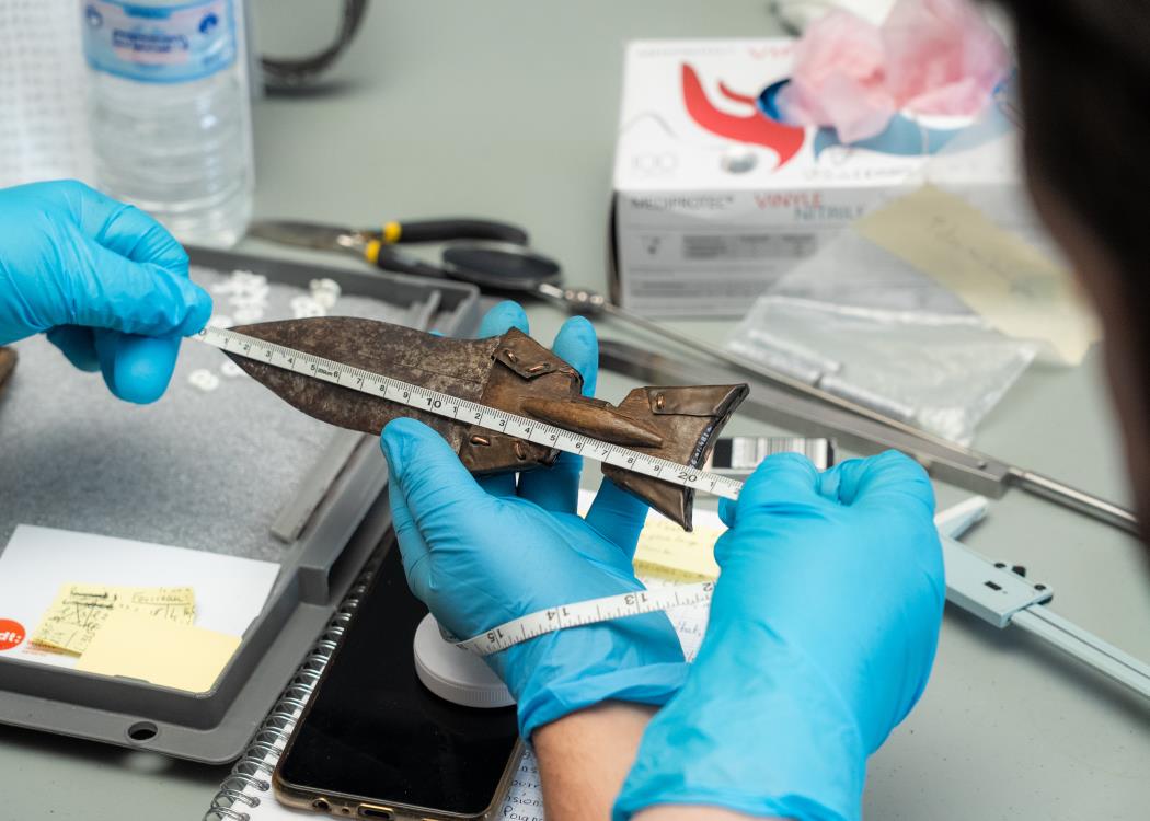 Récolement 2025 Récolement 2025