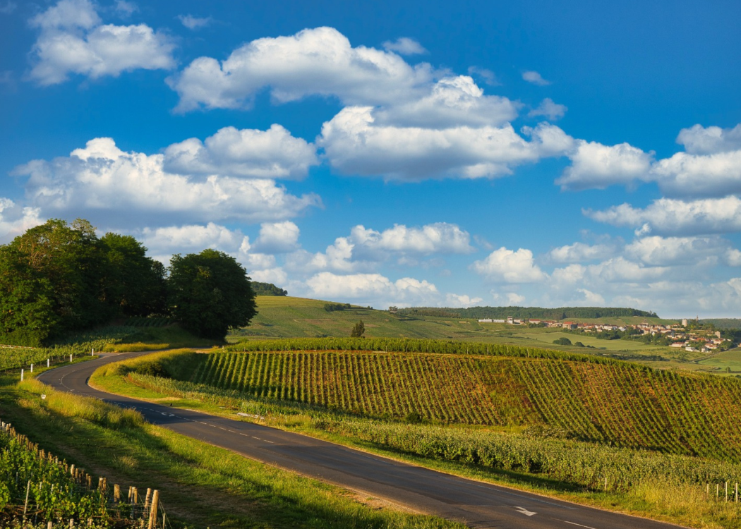 Road Trip en champagne Road Trip en champagne