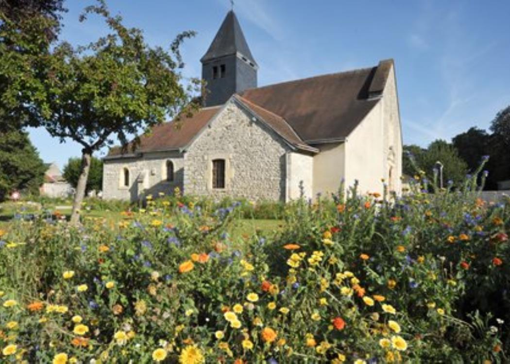 Saint Brice Courcelles (3)