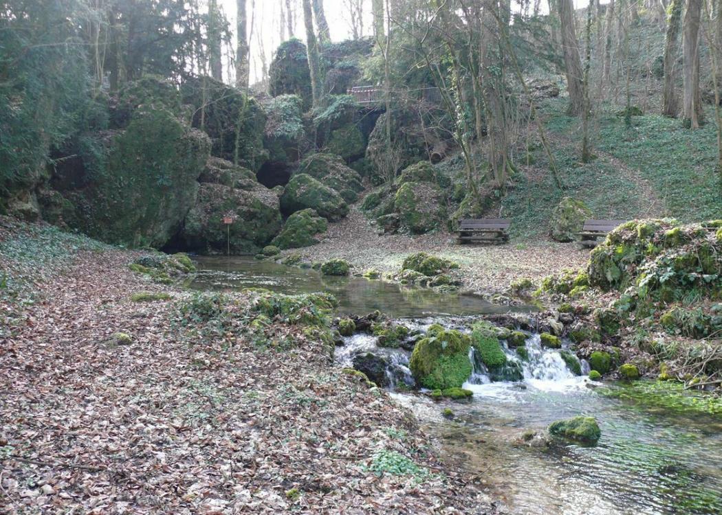 Le parc du Sourdon - Saint-Martin d'Ablois