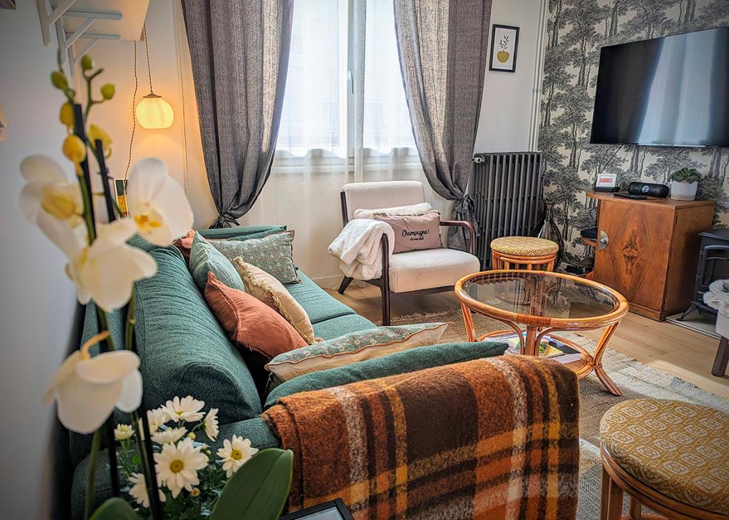 Le Cemarose - Gite & Spa - Epernay  Salon