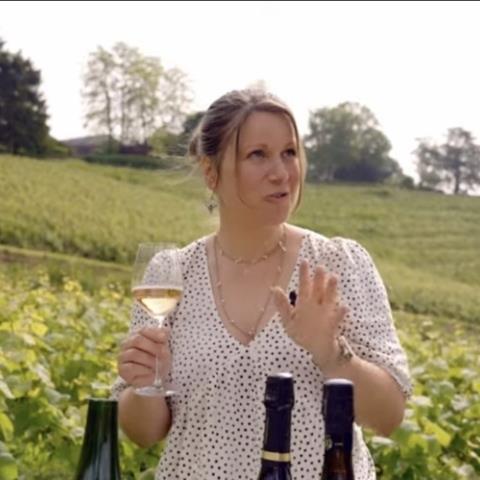 Vignobles en Scène: "From Vine to Press" Walk