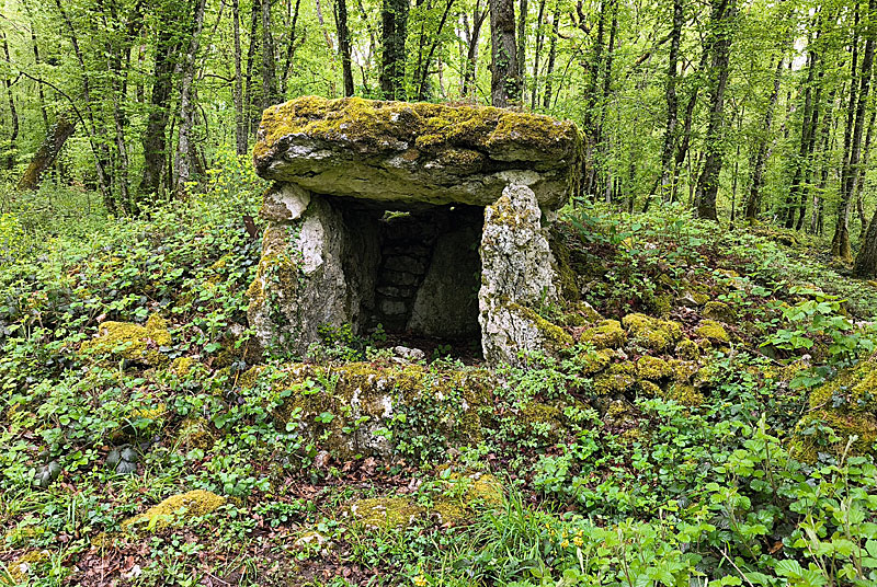 Site Néolithique de Fort Bévaux