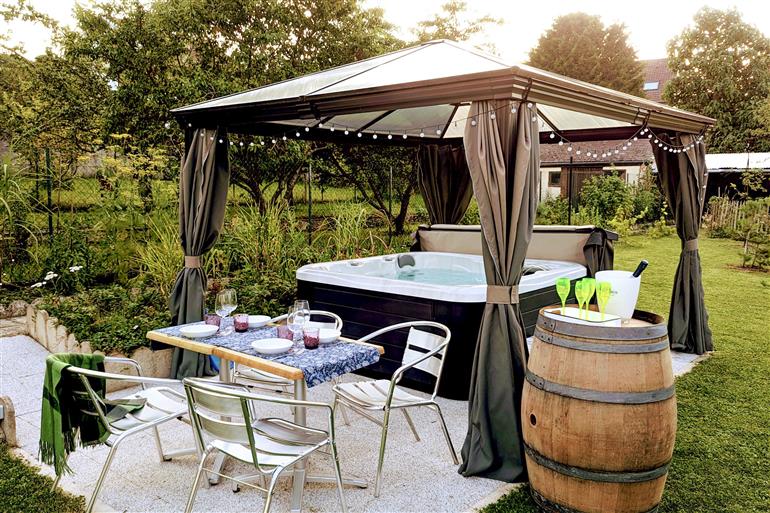 Gite jardin jaccuzi Epernay en Champagne Le Cémarose