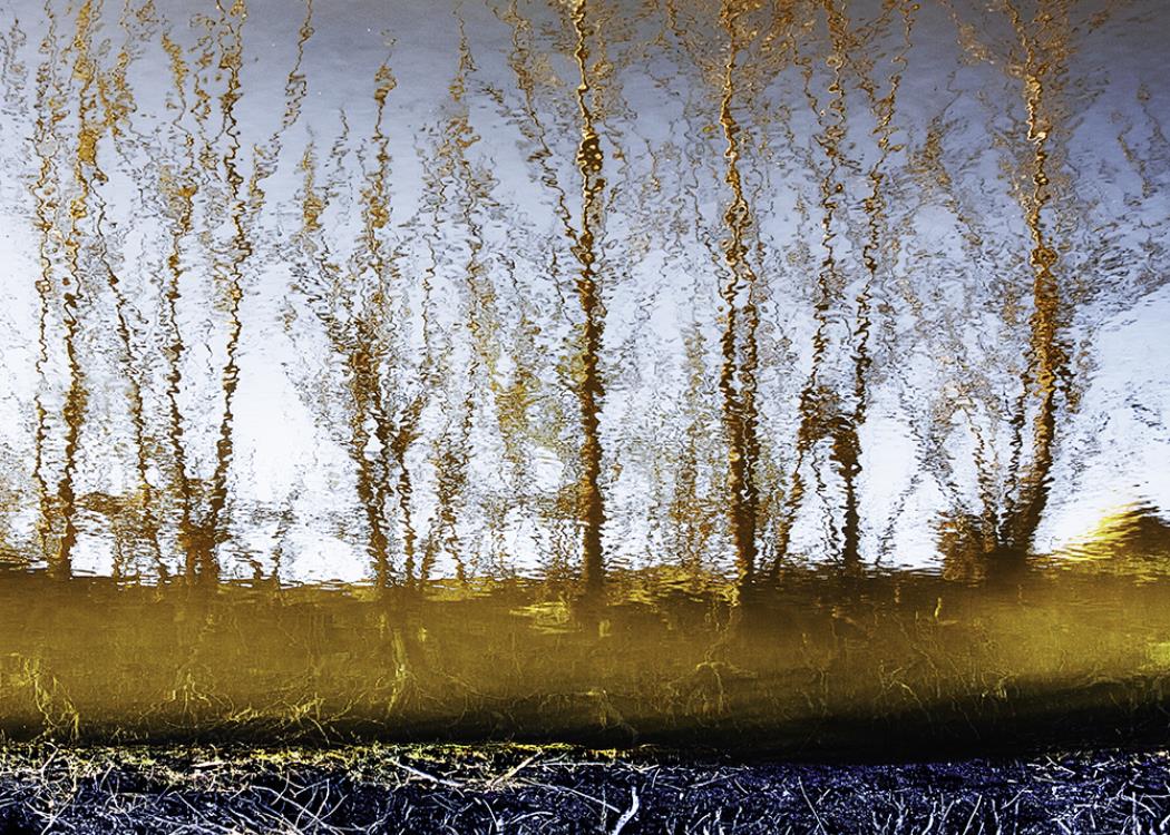Un monde à part - © Serge Michalowicz