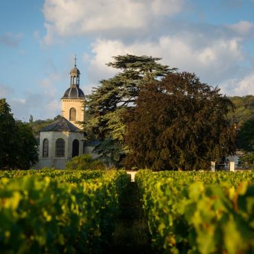 Veuve Clicquot - Déjeuner des vendanges Du 28 au 29 sept 2024