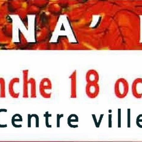 VISUEL BANDEROLE SPARNA FOIRE