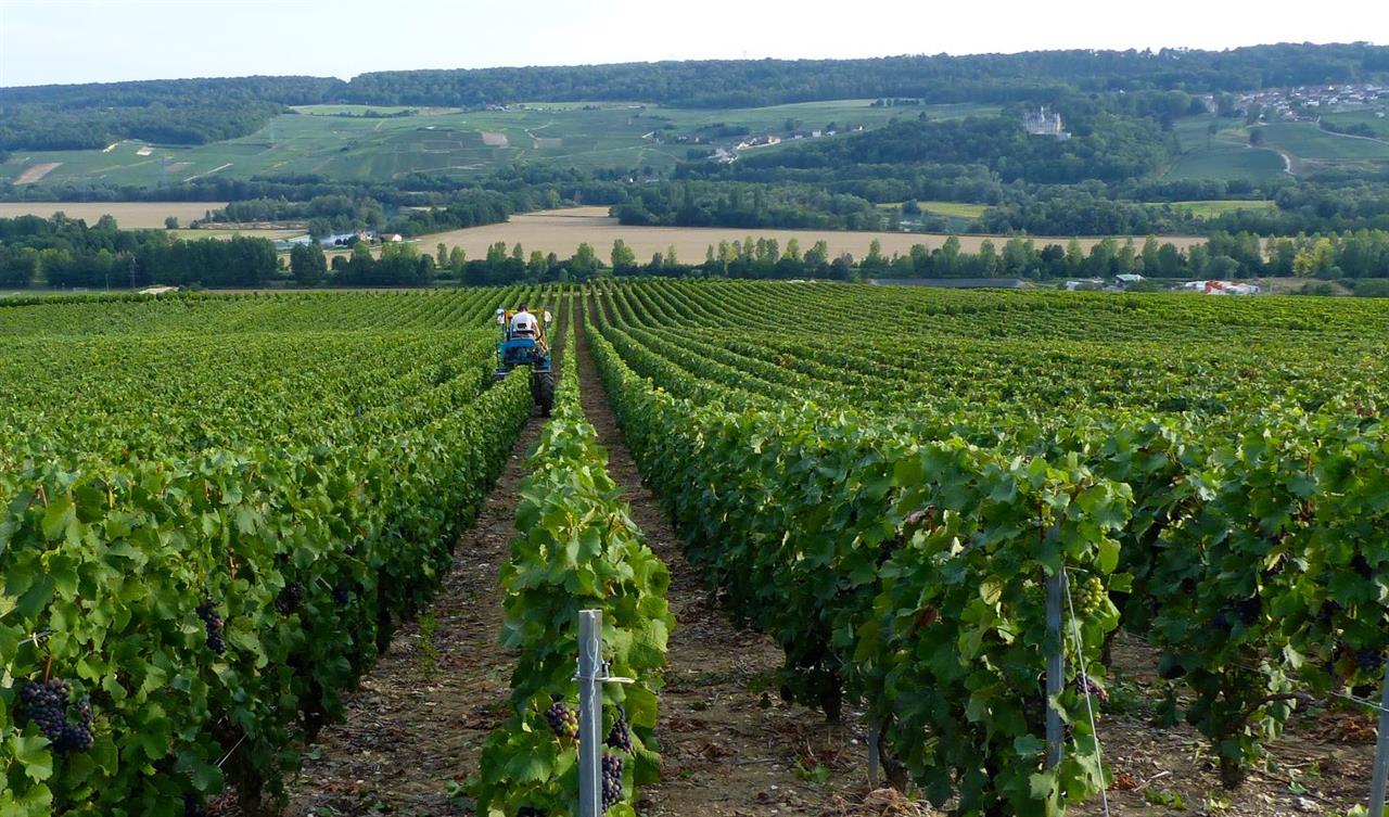 Vallée-de-la-Marne