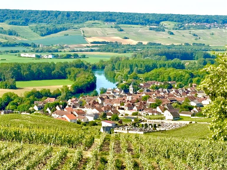 Vallée de la marne