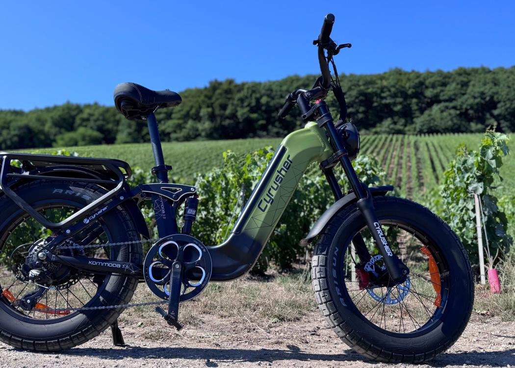 Vélo et vignes Festi'Vallée Vélo et vignes Festi'Vallée