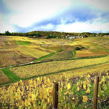 Fascinant Week-end V&D : De la vigne à la flûte Du 18 au 19 oct 2024