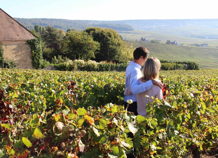 Vignoble - Hautvillers
