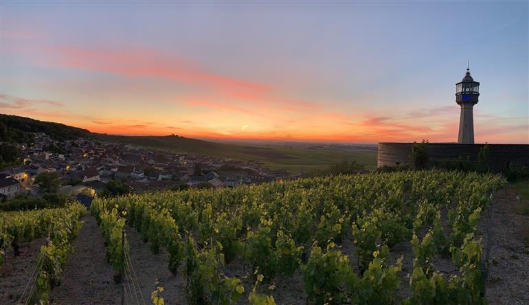 Vignoble au coucher de soleil ©Jim Vitoux - Office de Tourisme du Grand Reims optimise