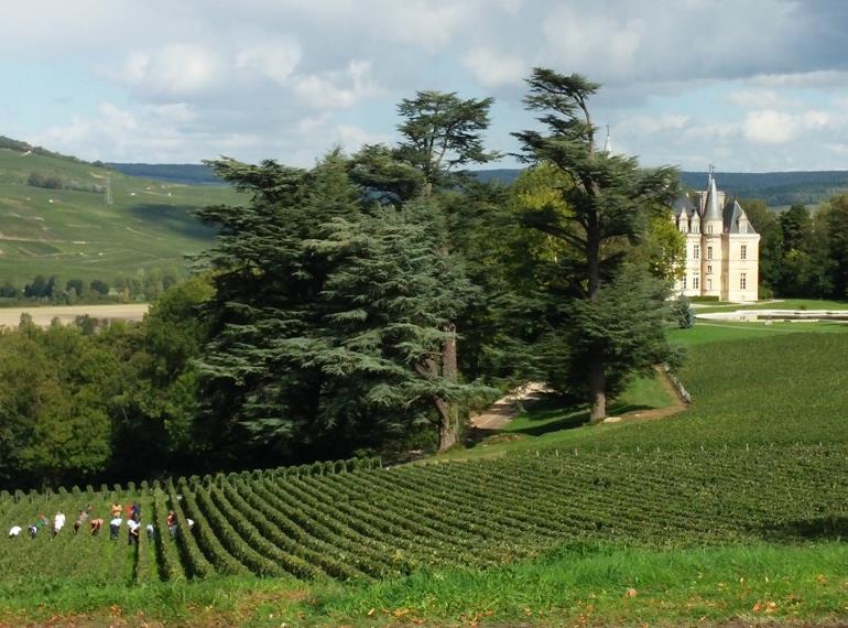 Vignoble-et-Chateau