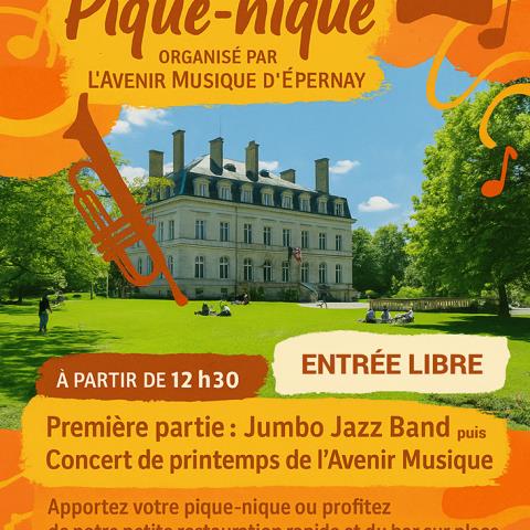 Concert pique-nique par l'Avenir Musique d'Epernay_1