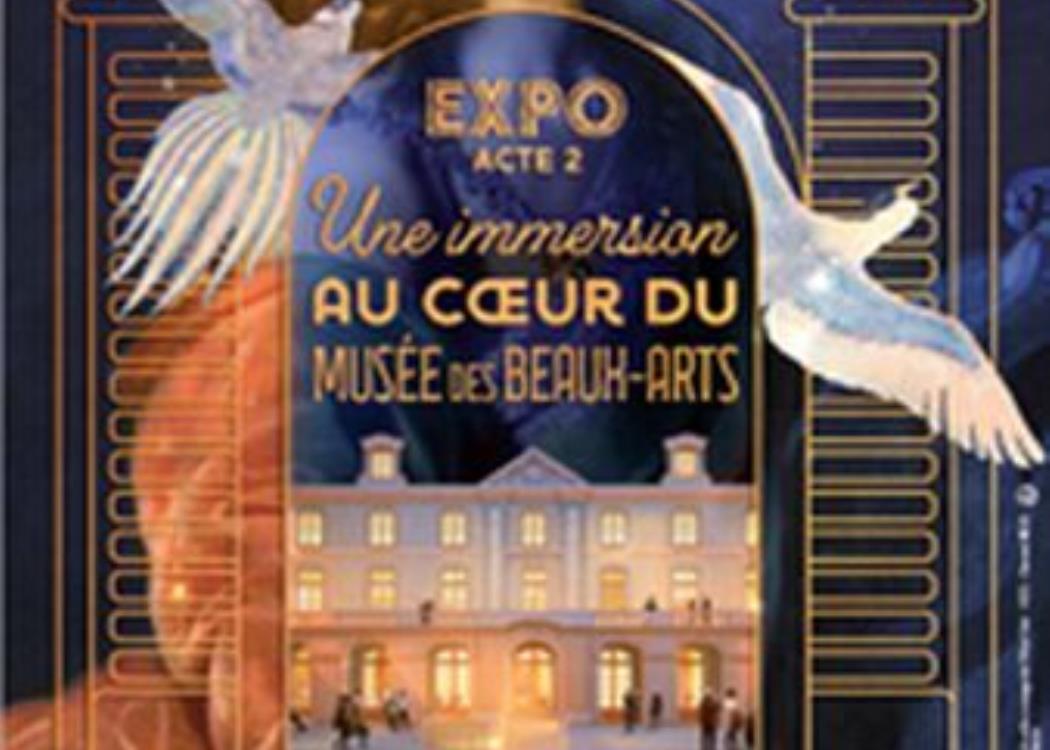 affiche-une-immersion-au-coeur-du-musee-des-beaux-arts