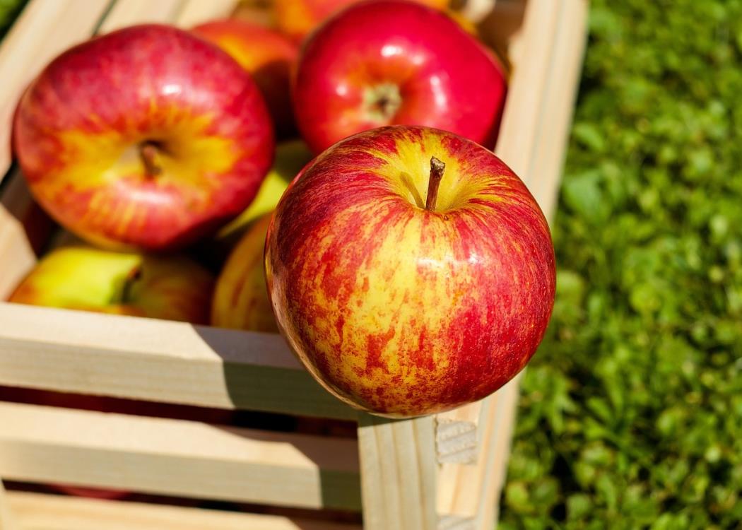 apple-1589874_1280