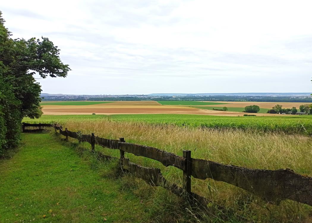 atelieryogados-vueParcMonastère atelieryogados-vueParcMonastère