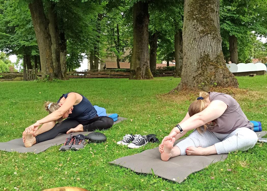 atelieryogados-yogisParc2 atelieryogados-yogisParc2