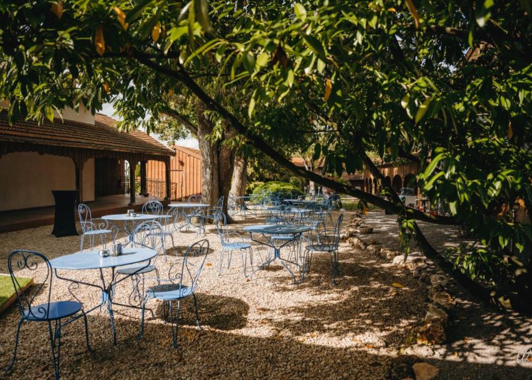 aux-armes-de-champagne-l-epine-terrasse