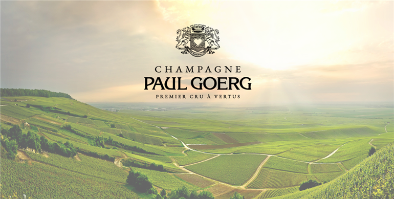 background vignoble PG