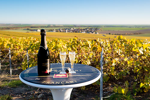 bouteille-vigne-vaudemange