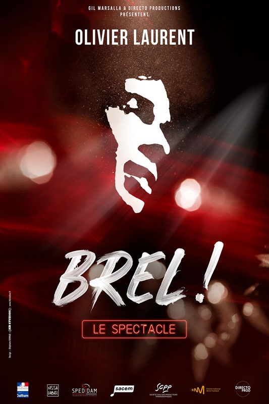 Spectacle : Danse avec les Stars