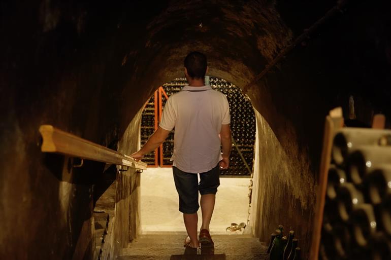 champagne-alfred-tritant-visite-des-caves