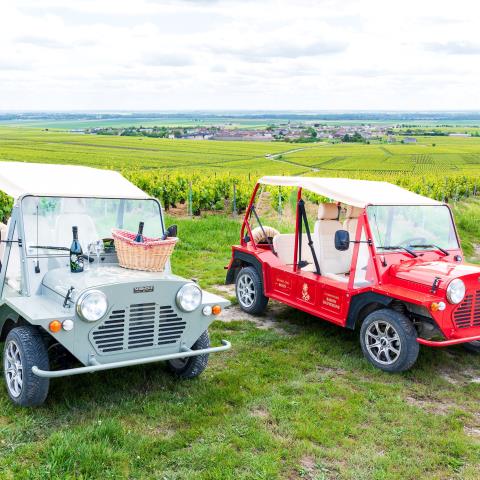 champagne-baron-dauvergne-immersion-vendanges