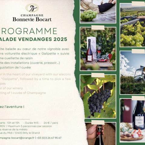 champagne-bonnevie-bocart-vendanges-2025 champagne-bonnevie-bocart-vendanges-2025