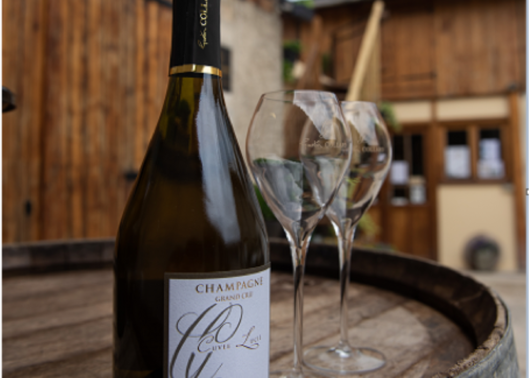 champagne-gaston-collard-bouzy-degustation