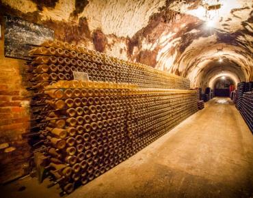champagne-guy-charbaut-mareuil-sur-ay-caves