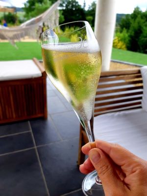 champagne-holiday-chilling-small