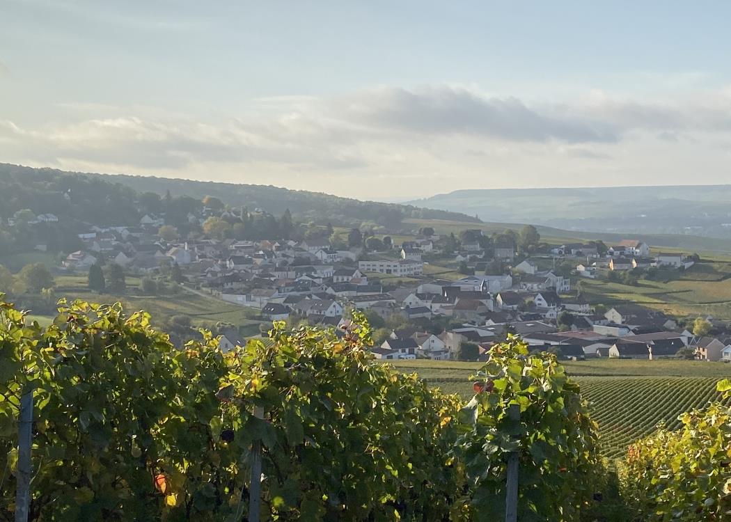 Un balcon sur le vignoble - Champillon